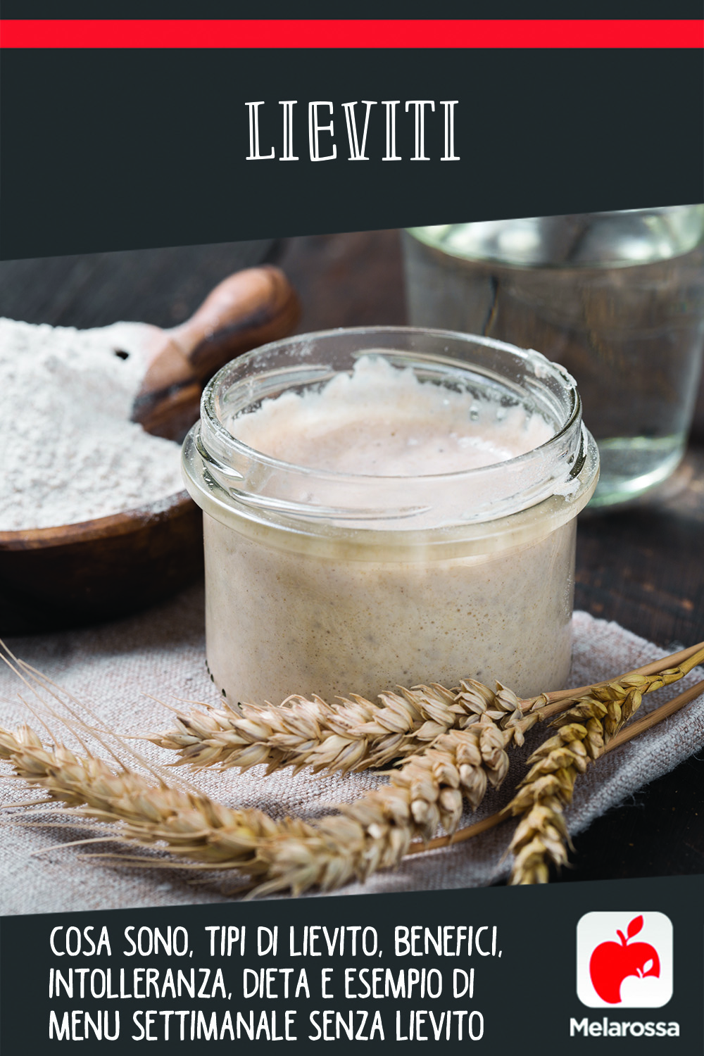 lievito: cosa sono, tipi, benefici intolleranza e dieta senza lievito