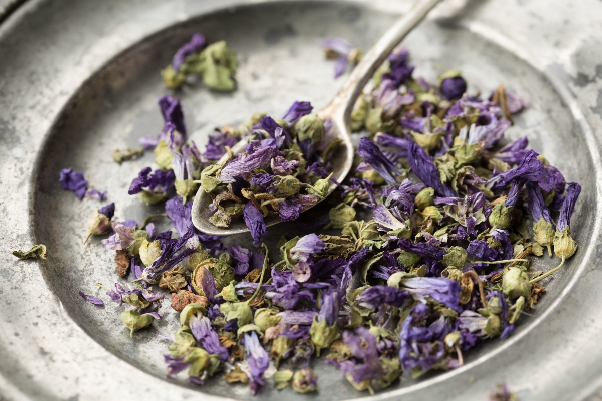 Malva: benefici