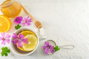 Malva: proprietà, benefici, pianta e controindicazioni