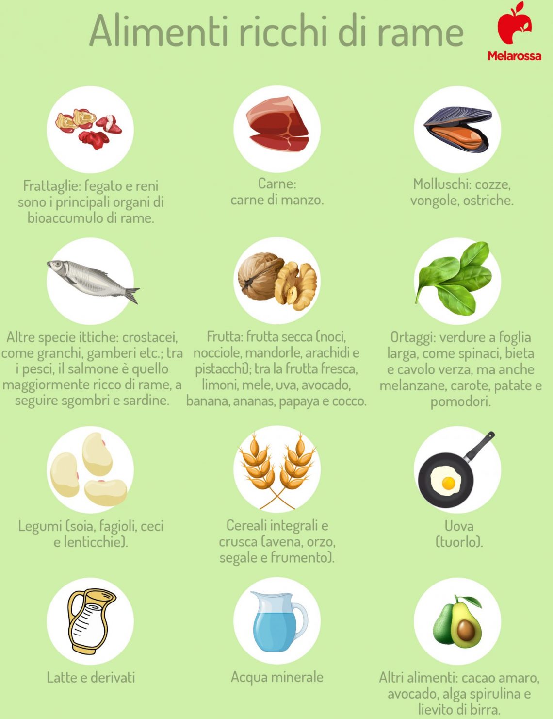 Rame cos’è, dove si trova, proprietà, benefici e utilizzo degli integratori Rame cos’è, dove si trova, proprietà, benefici e utilizzo degli integratori