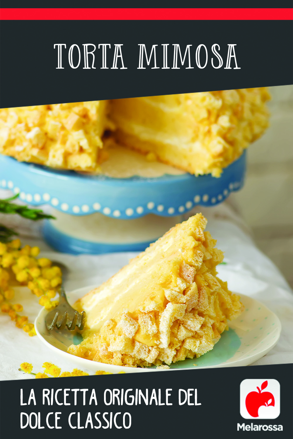 torta mimosa: Pinterest