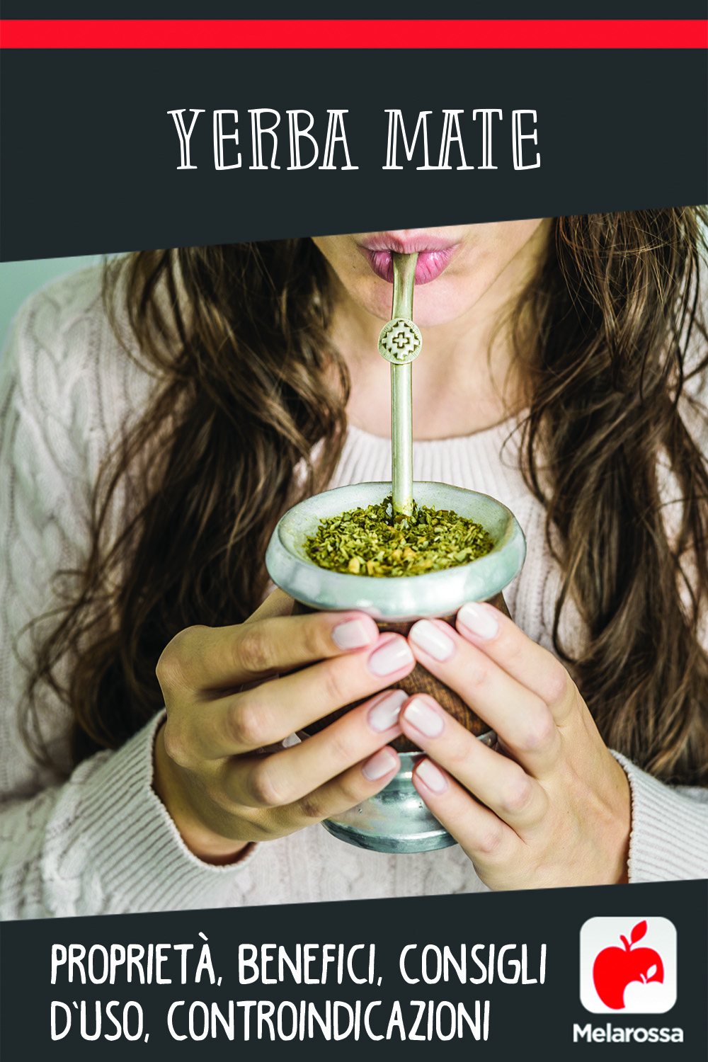 yerba mate: cos'è, benefici, usi e controindicazioni