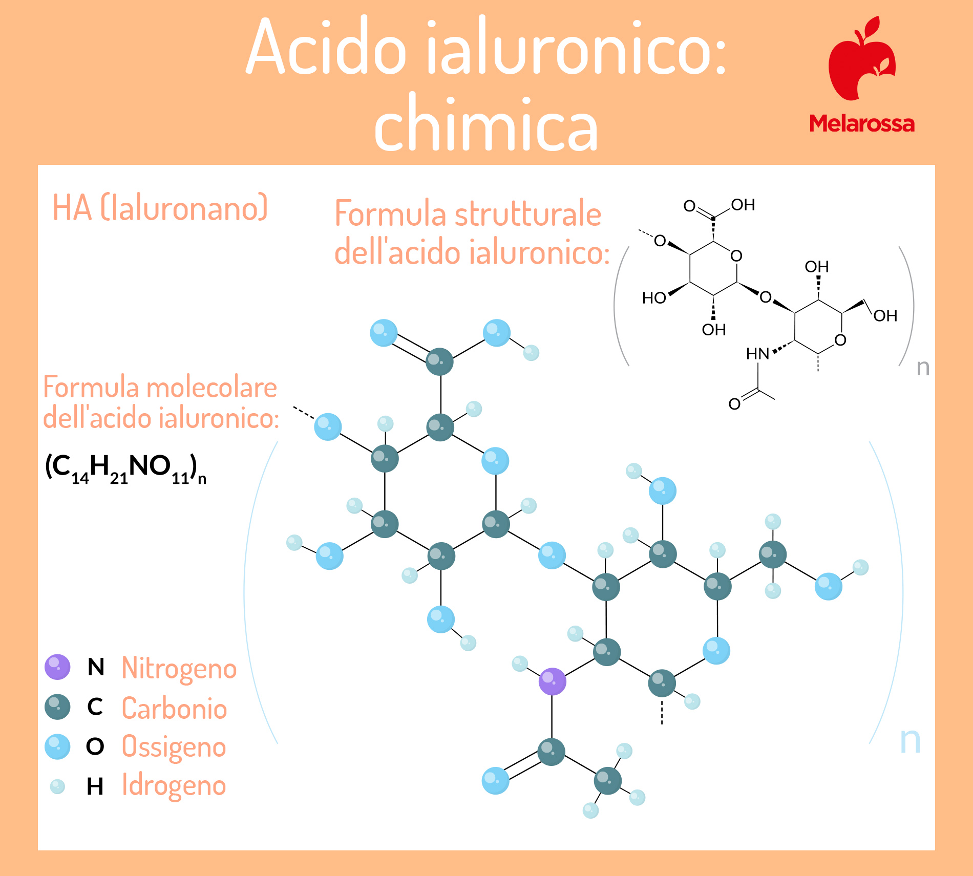 acido aiuluronico: struttura chimica 