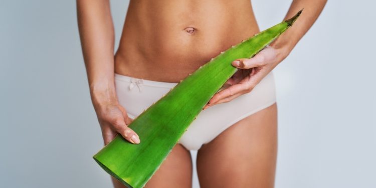 aloe vera, succo e gel: cos'è, a cosa serve, benefici, usi e controindicazioni