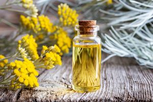 Elicriso: il fiore aromatico tra proprietà, benefici, ricette erboristiche, coltivazione ed usi in cucina