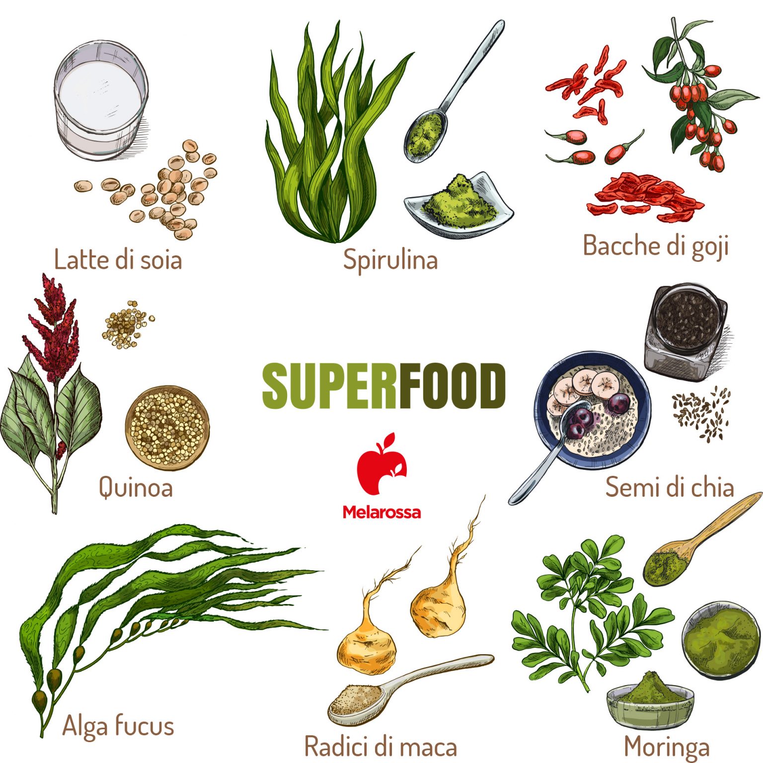 Muira Puama: La Pianta Afrodisiaca Con Molteplici Benefici Per La Salu - Foto 6