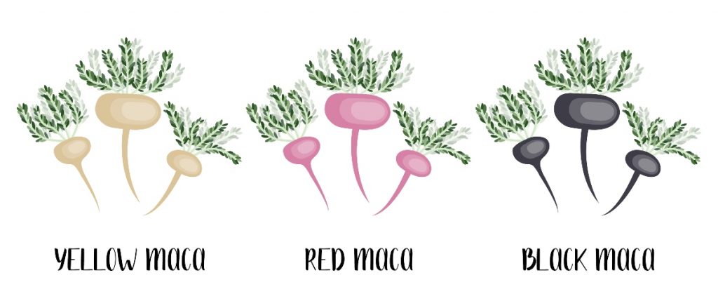 maca varieta