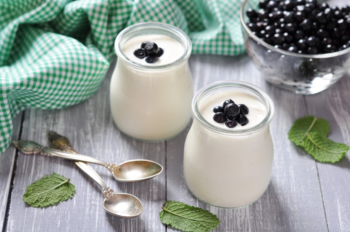 Panna cotta light, ricetta leggera con lo yogurt | Melarossa