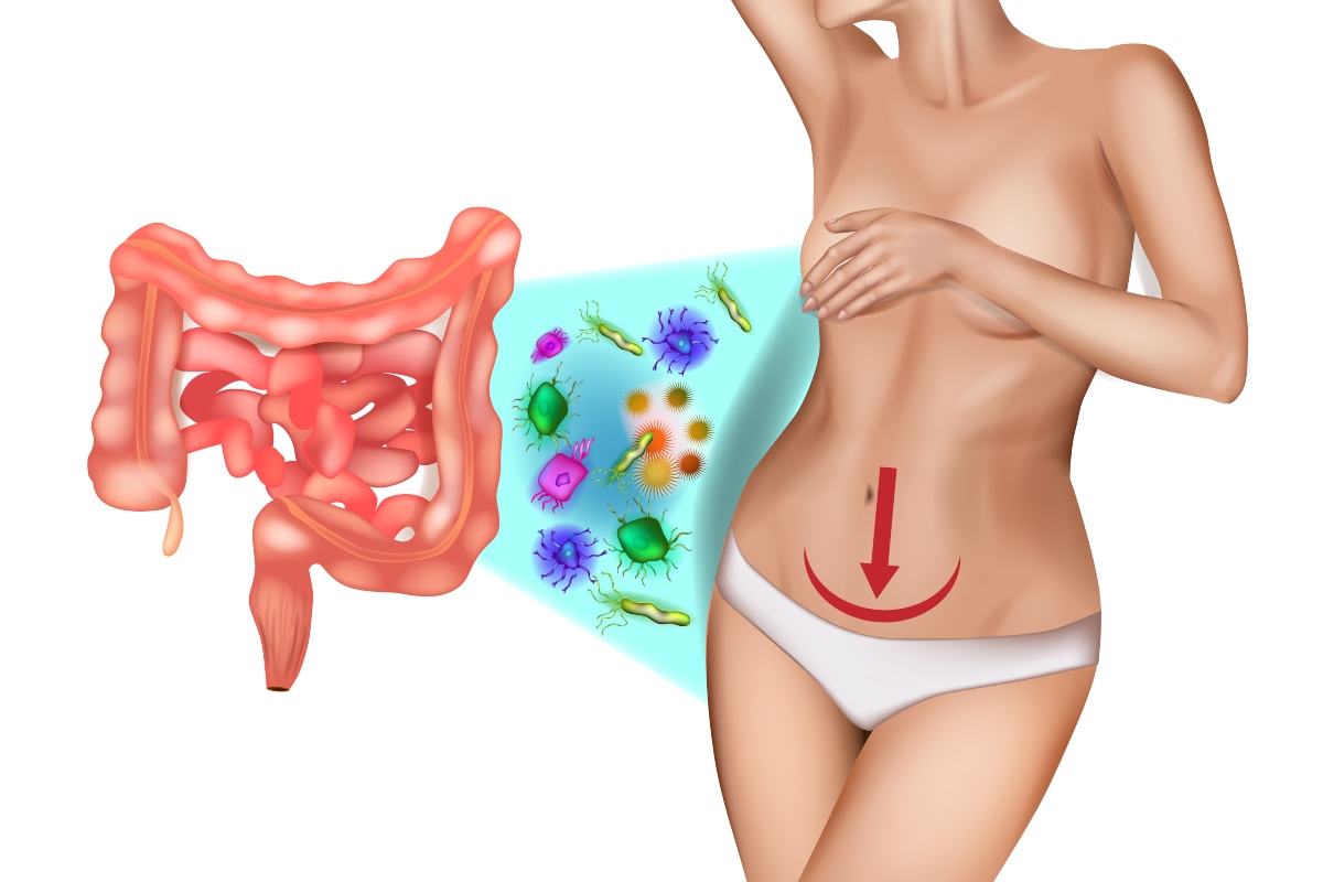 ruolo e funzioni del microbiota intestinale