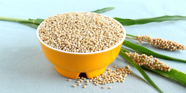 sorgo: cereale senza glutine, benefici e ricette