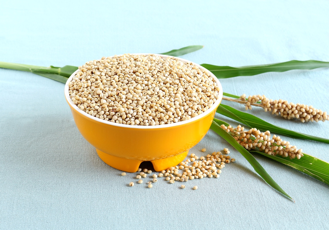 sorgo: cereale senza glutine, benefici e ricette