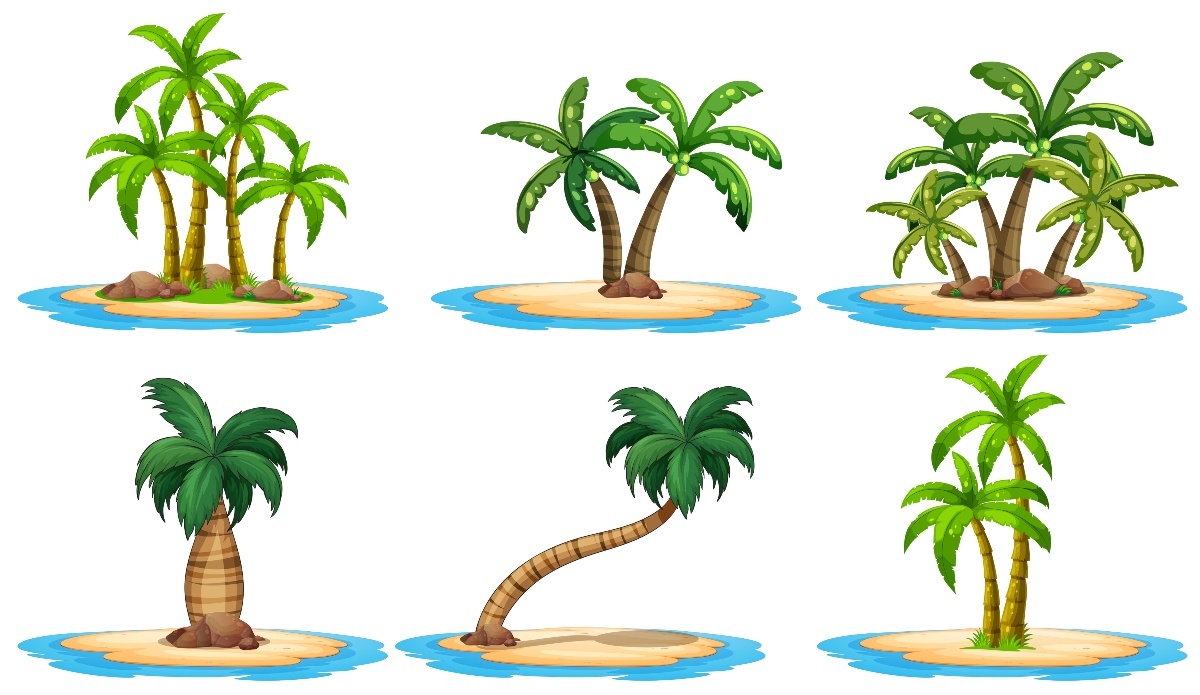 albero del cocco: varietà