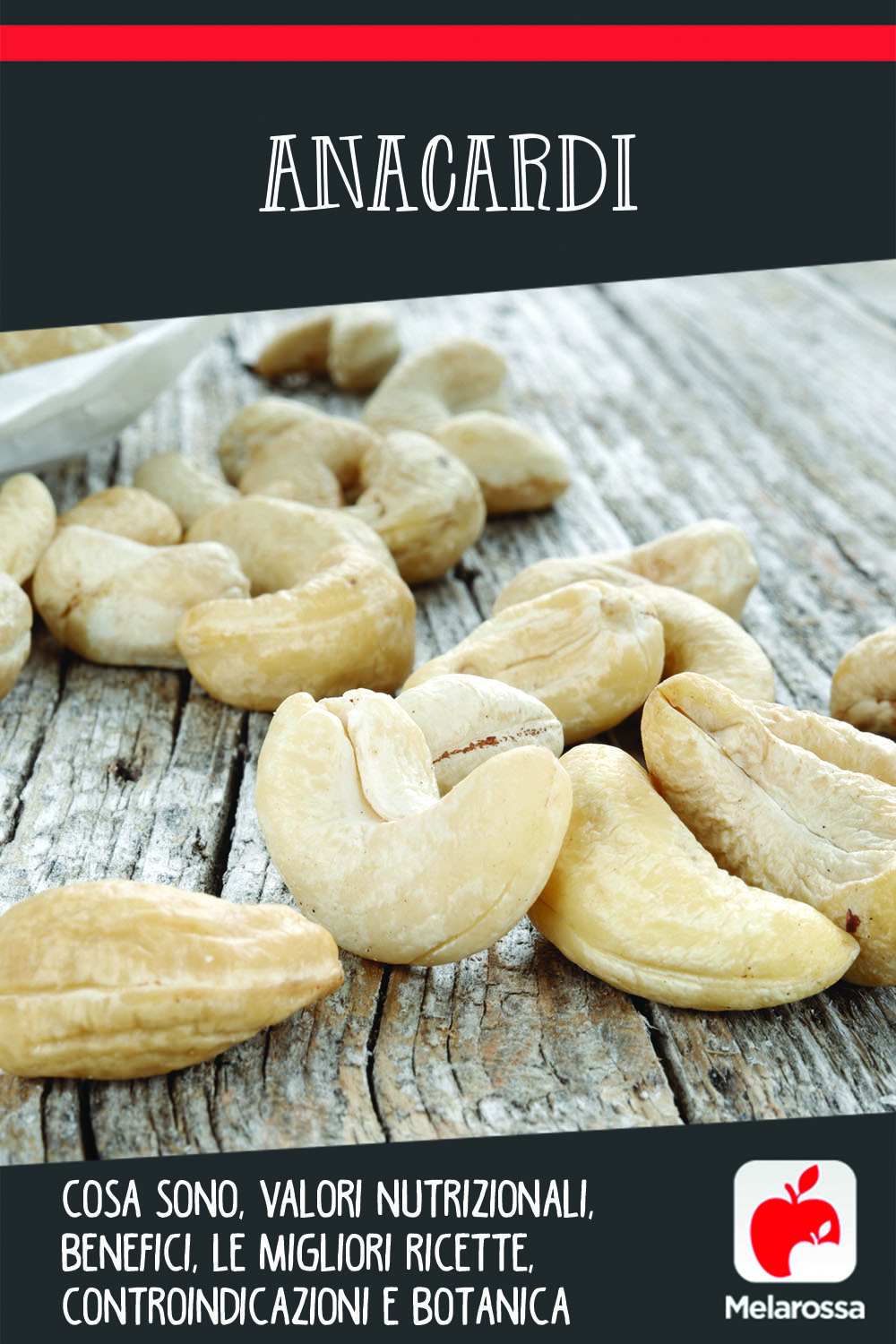 anacardi: cosa sono, valori nutrizionali, benefici e le migliori ricette