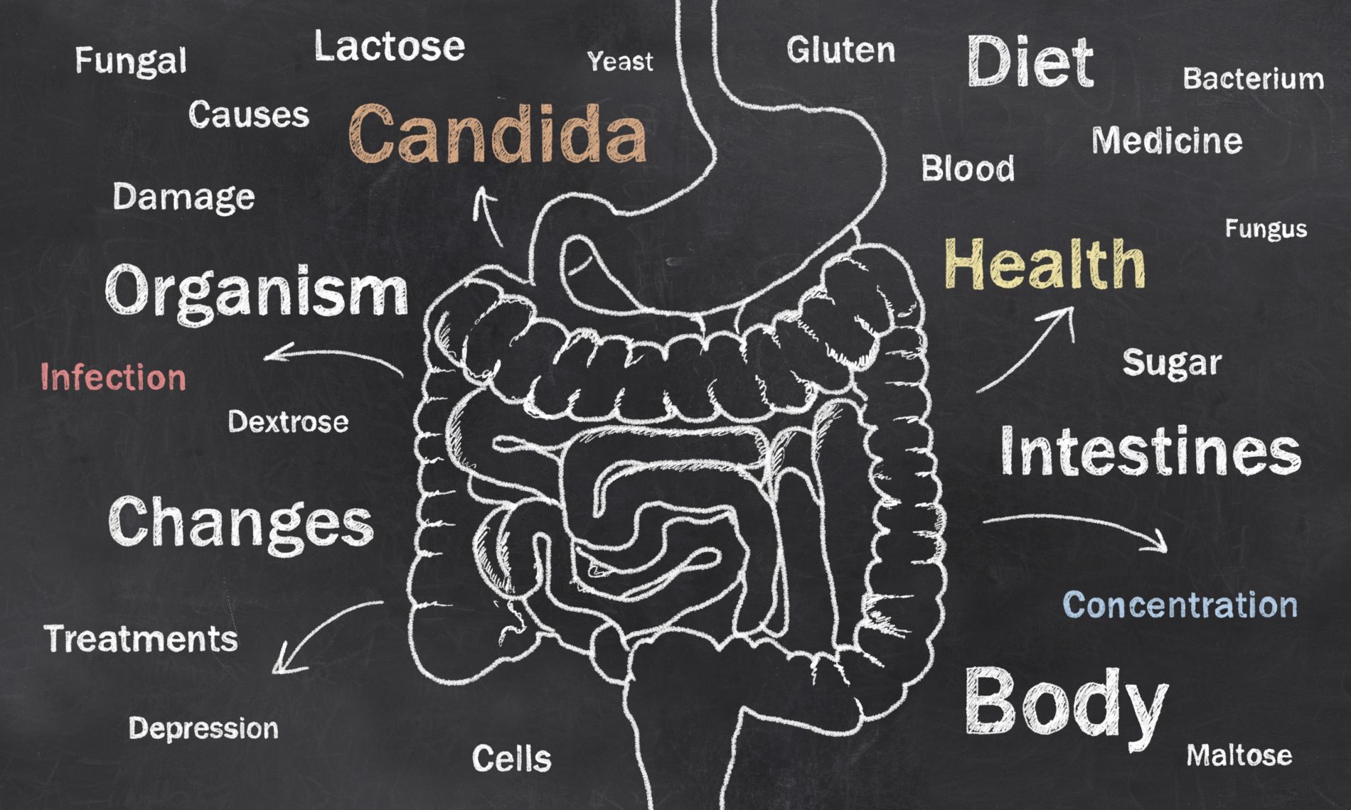 Cause della candida