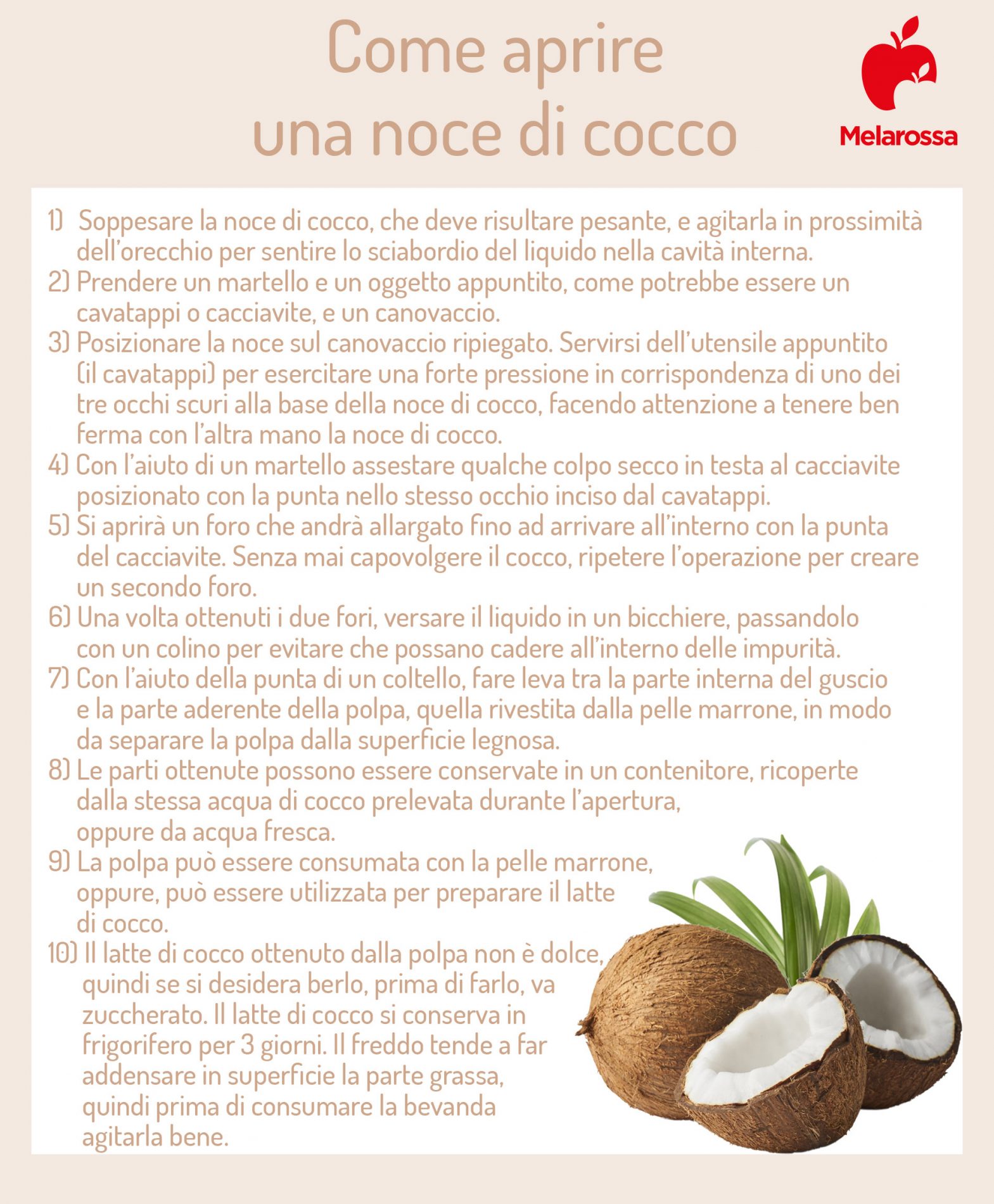 Come aprire una noce di cocco