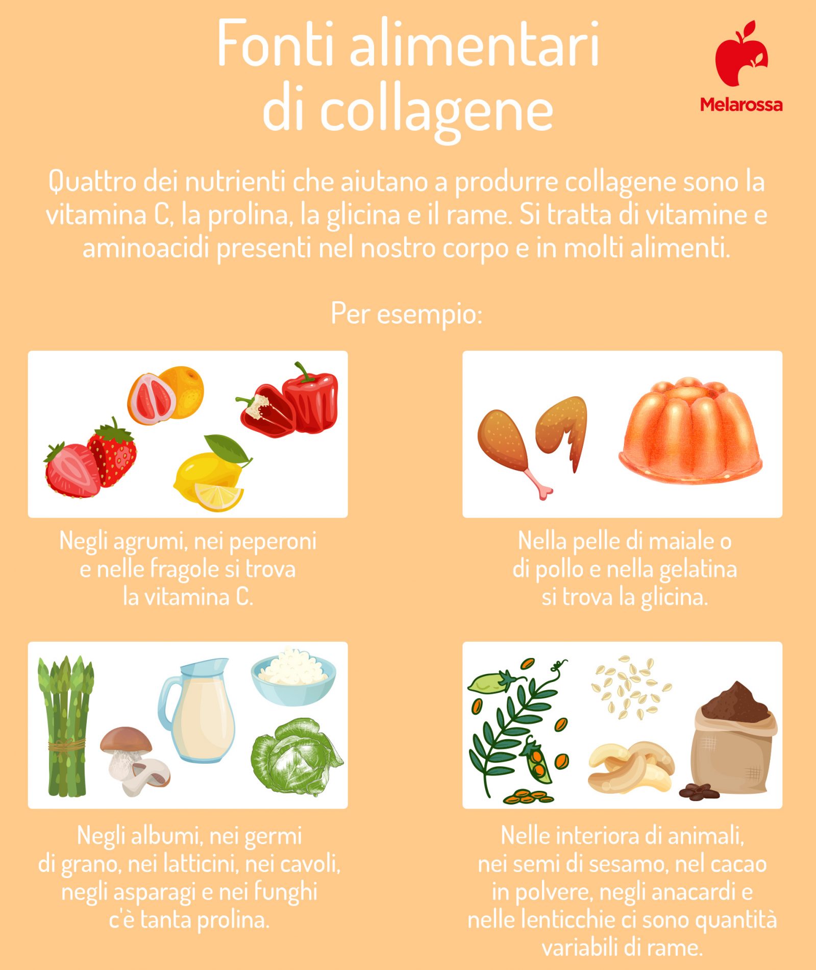 cibi ricchi di collagene