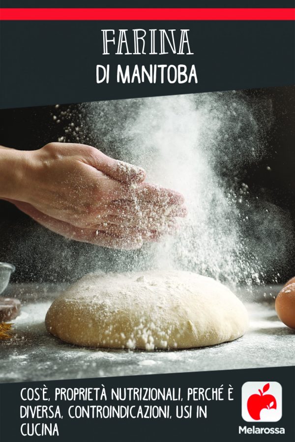 Farina di manitoba cos’è, proprietà nutrizionali, usi in cucina