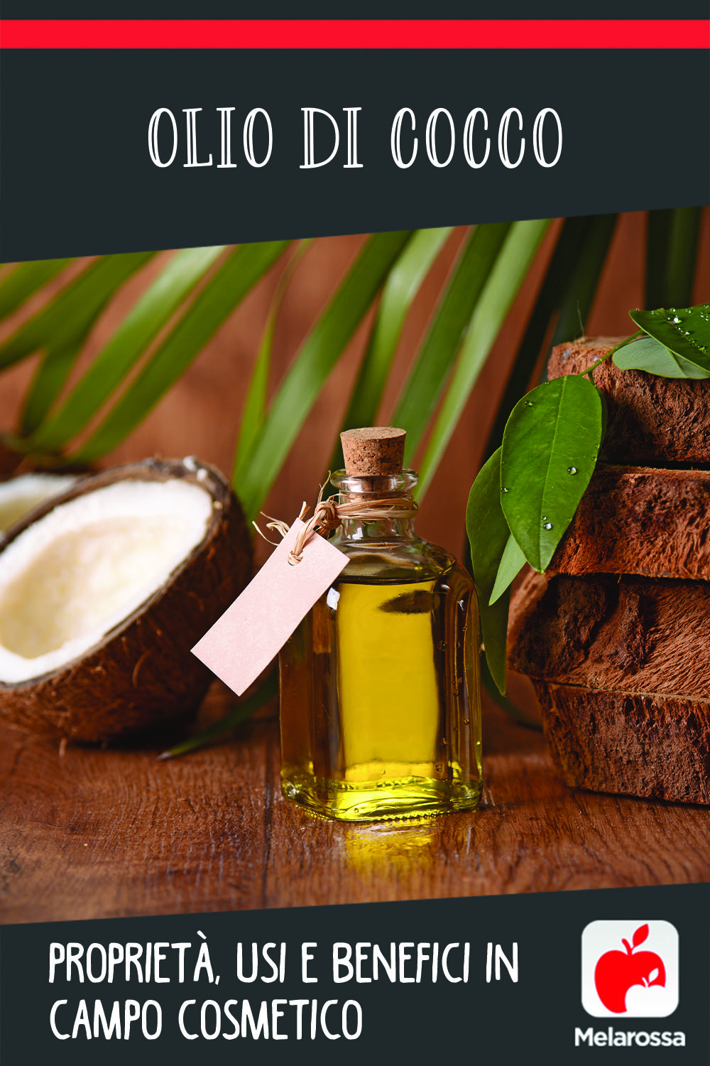 olio di cocco: usi e benefici per la pelle