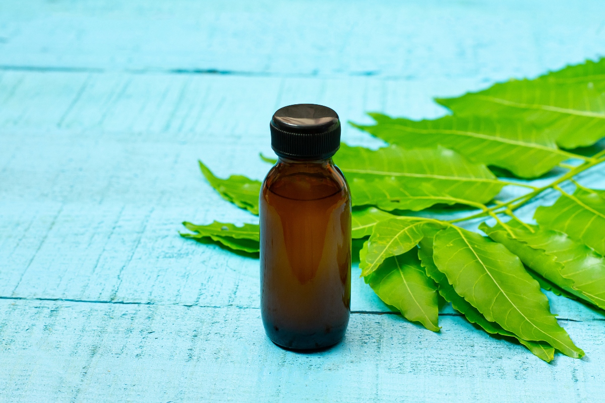 olio di neem: benefici 