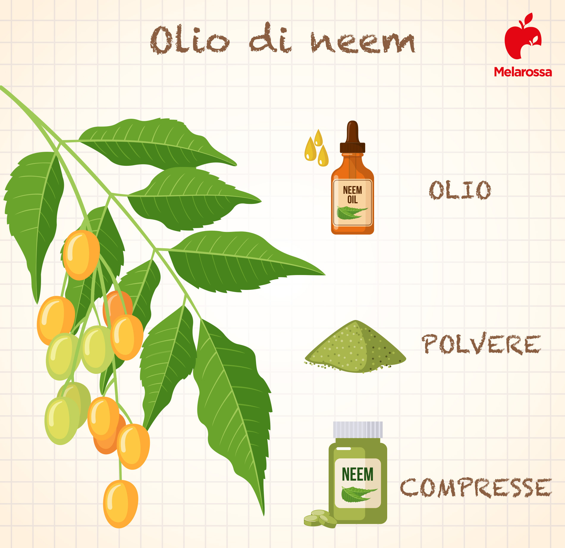 olio di neem in polvere o compresse