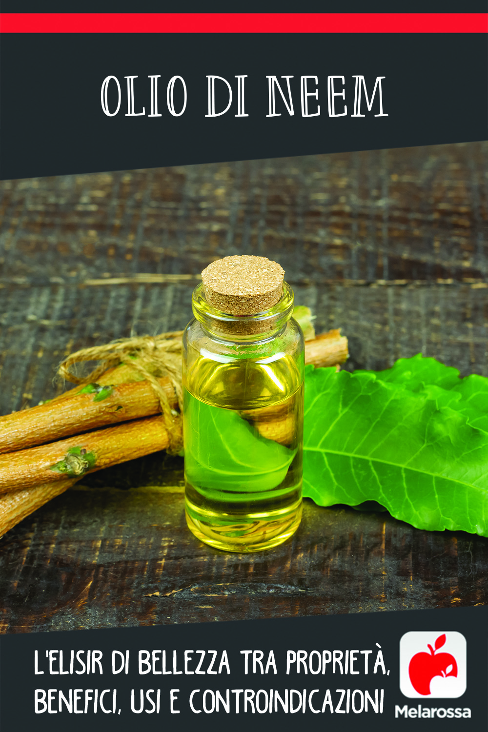olio di neem: proprietà, usi, benefici e controindicazioni