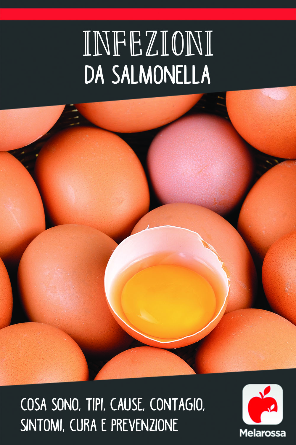 salmonella: cos'è, cause, sintomi e cure