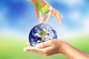 Giornata mondiale dell’Ambiente: i consigli e la dieta giusta per fare pace con la natura