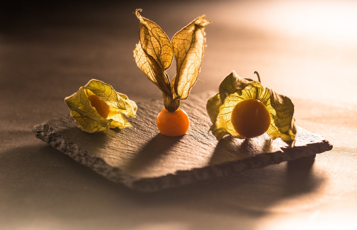 alchechengi: cos'è, valori nutrizionali, benefici e usi in cucina