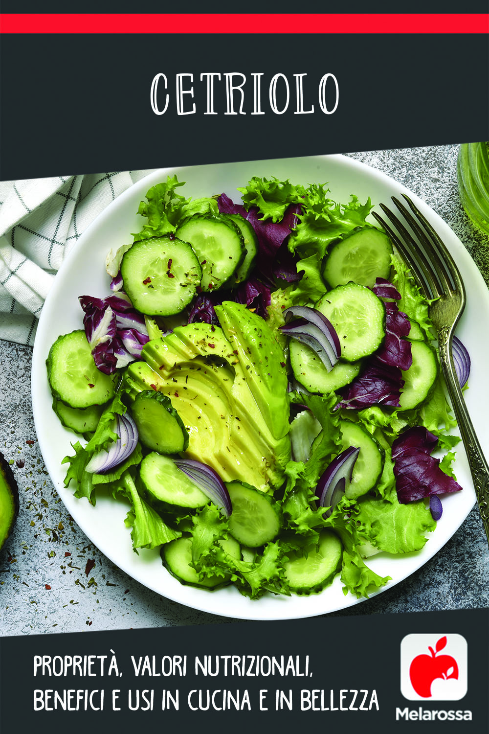 cetriolo: cos'è, valori nutrizionali, benefici e ricette