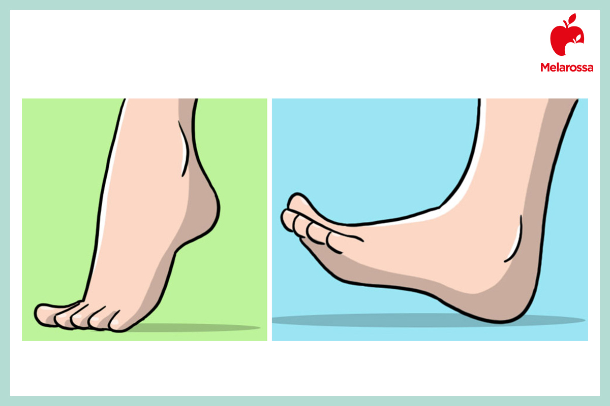 circolazioni sanguigna: esercizi caviglie