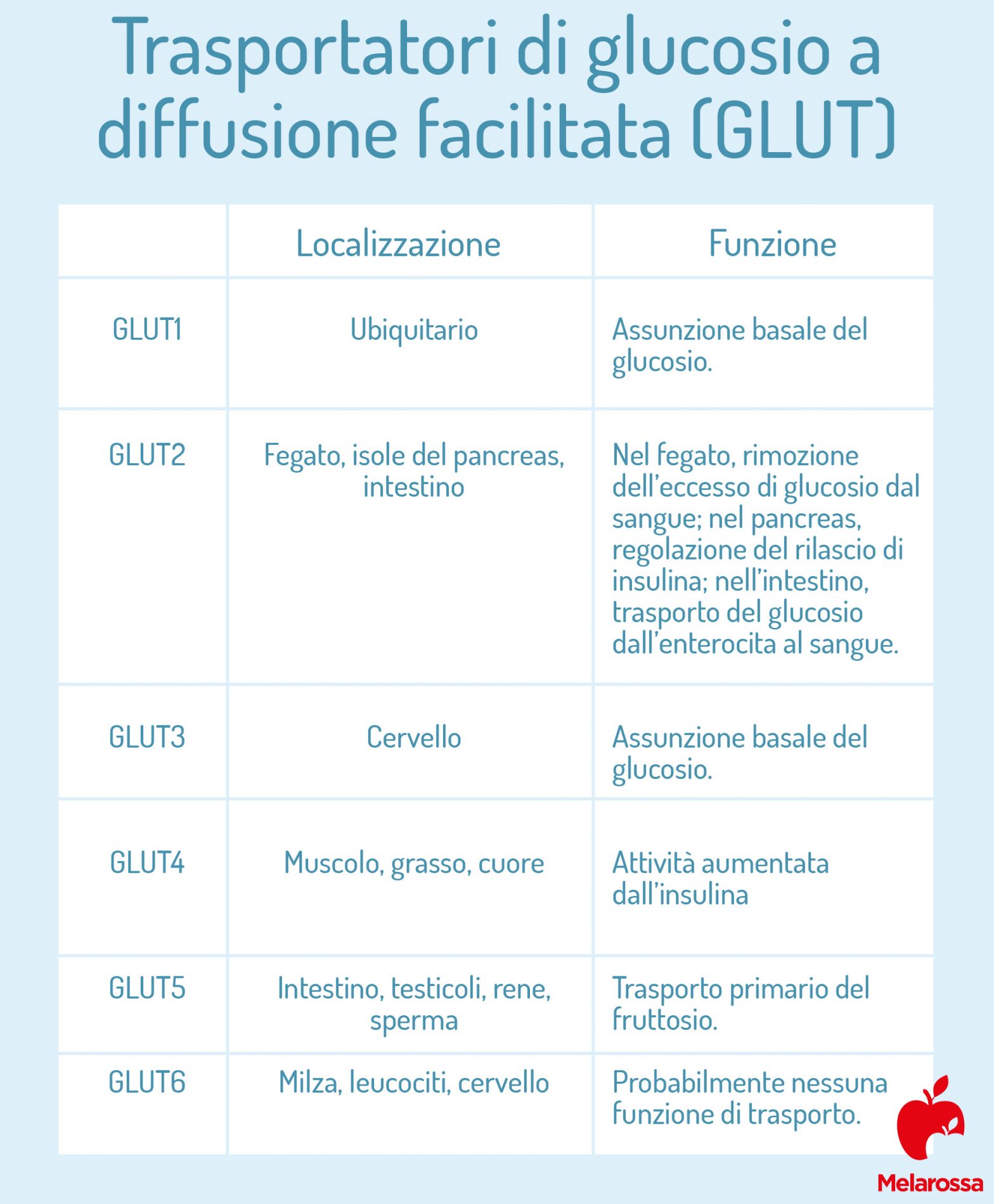 Trasportatori di glucosio a diffusione facilitata