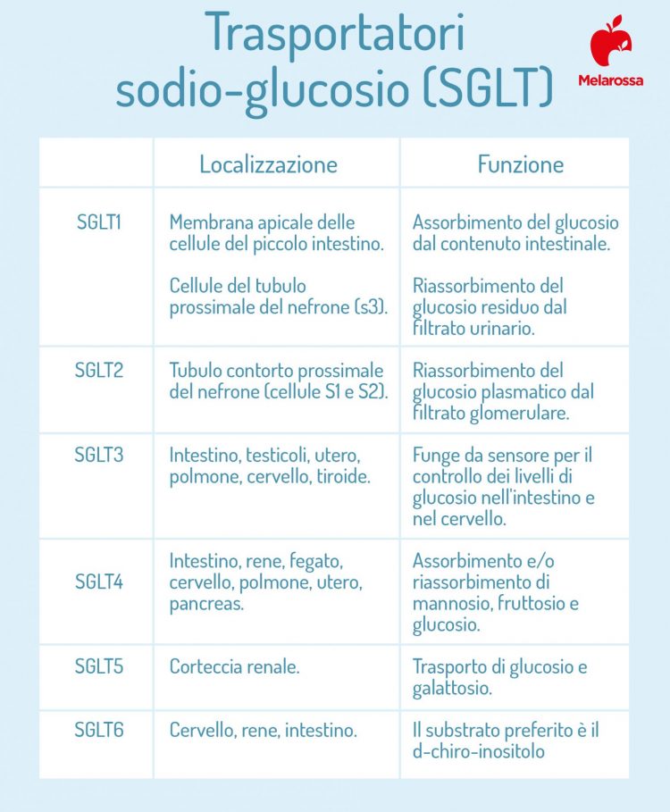 glucosol.shop