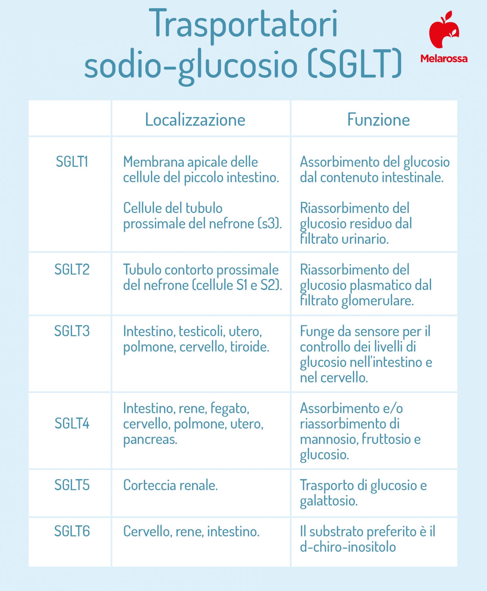 glucosio trasportatori sodio glucosio SGLT