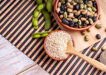 lecitina di soia cos evalori nutrizionali benefici come usarlo