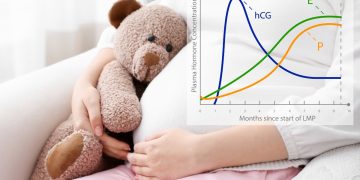 progesterone. cos'è, a cosa serve