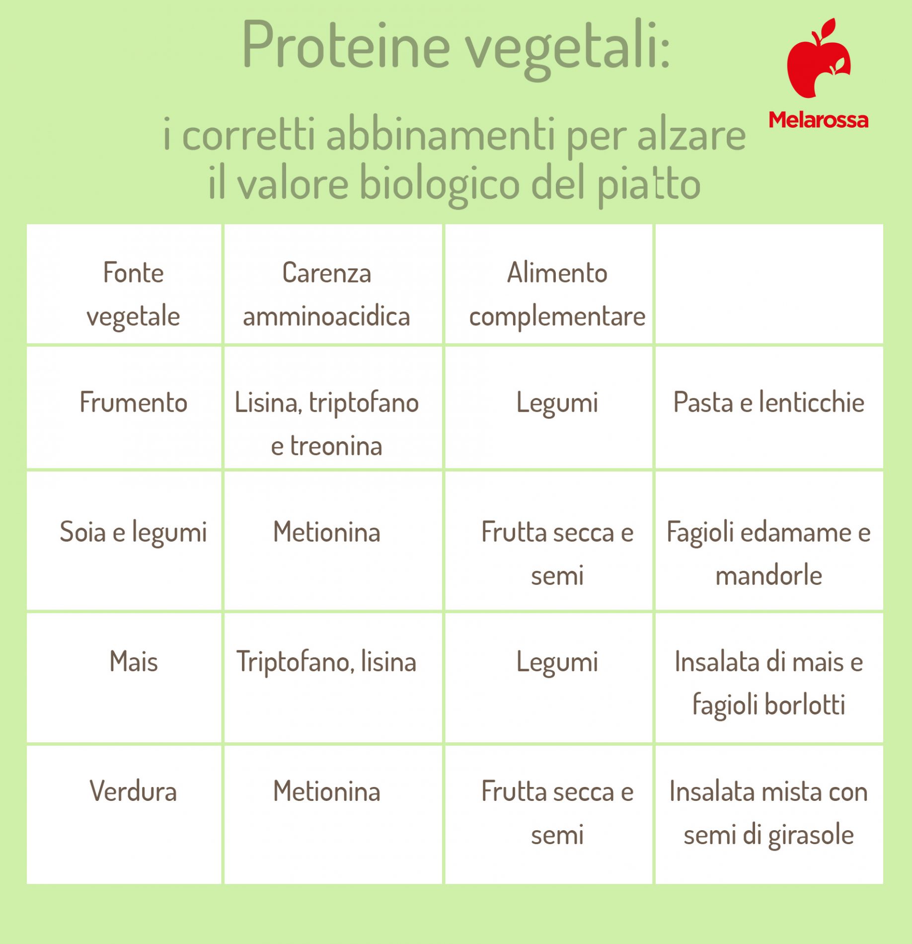 proteine vegetali: come abbinarli per un alimentazione corretta