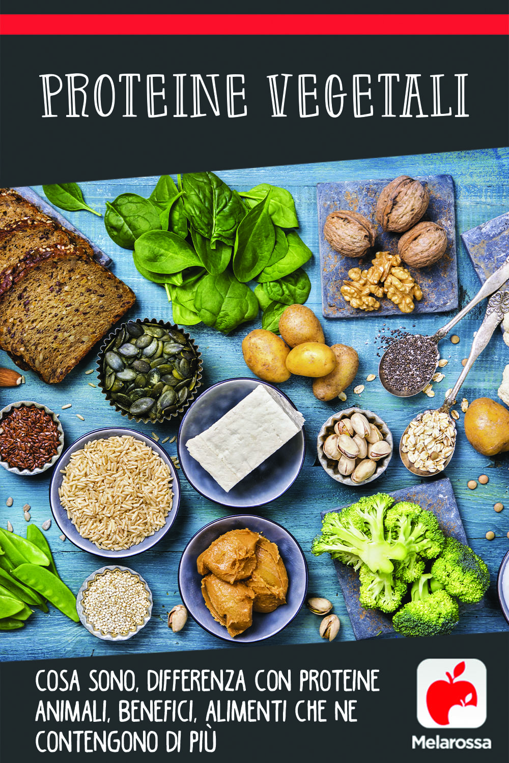 proteine vegetali: cosa sono, quali sono, benefici e controindicazioni
