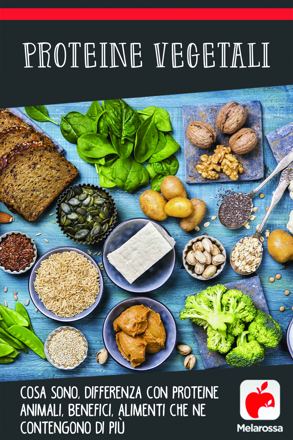 proteine vegetali: cosa sono, quali sono, benefici e controindicazioni 
