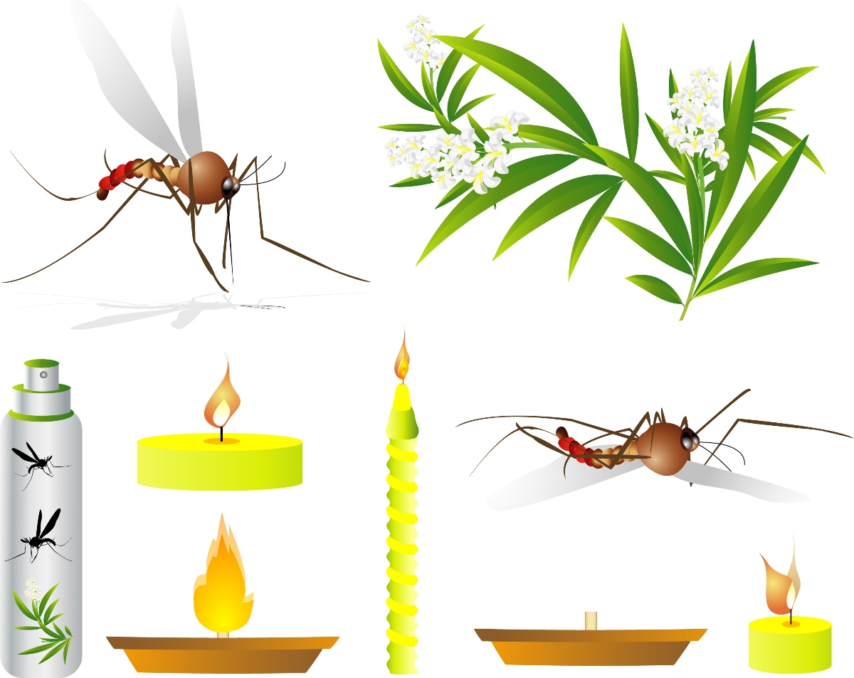 punturi di insetti: rimedi naturali 