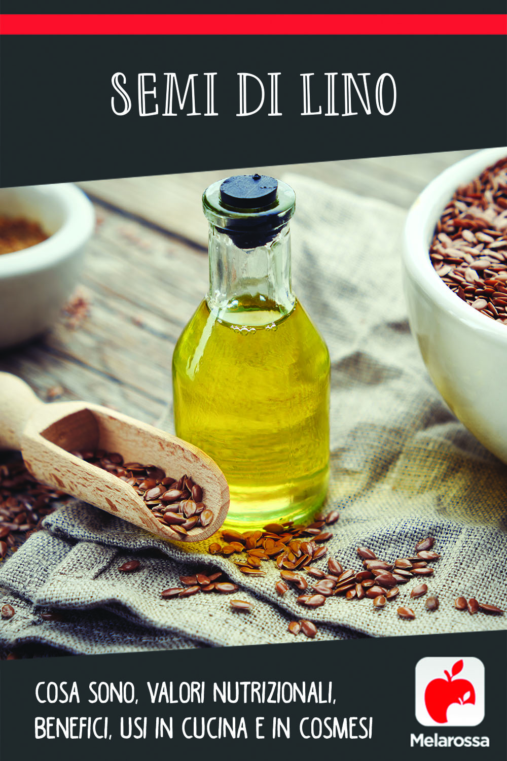 semi di lino: cos'è, valori nutrizionali, usi e benefici