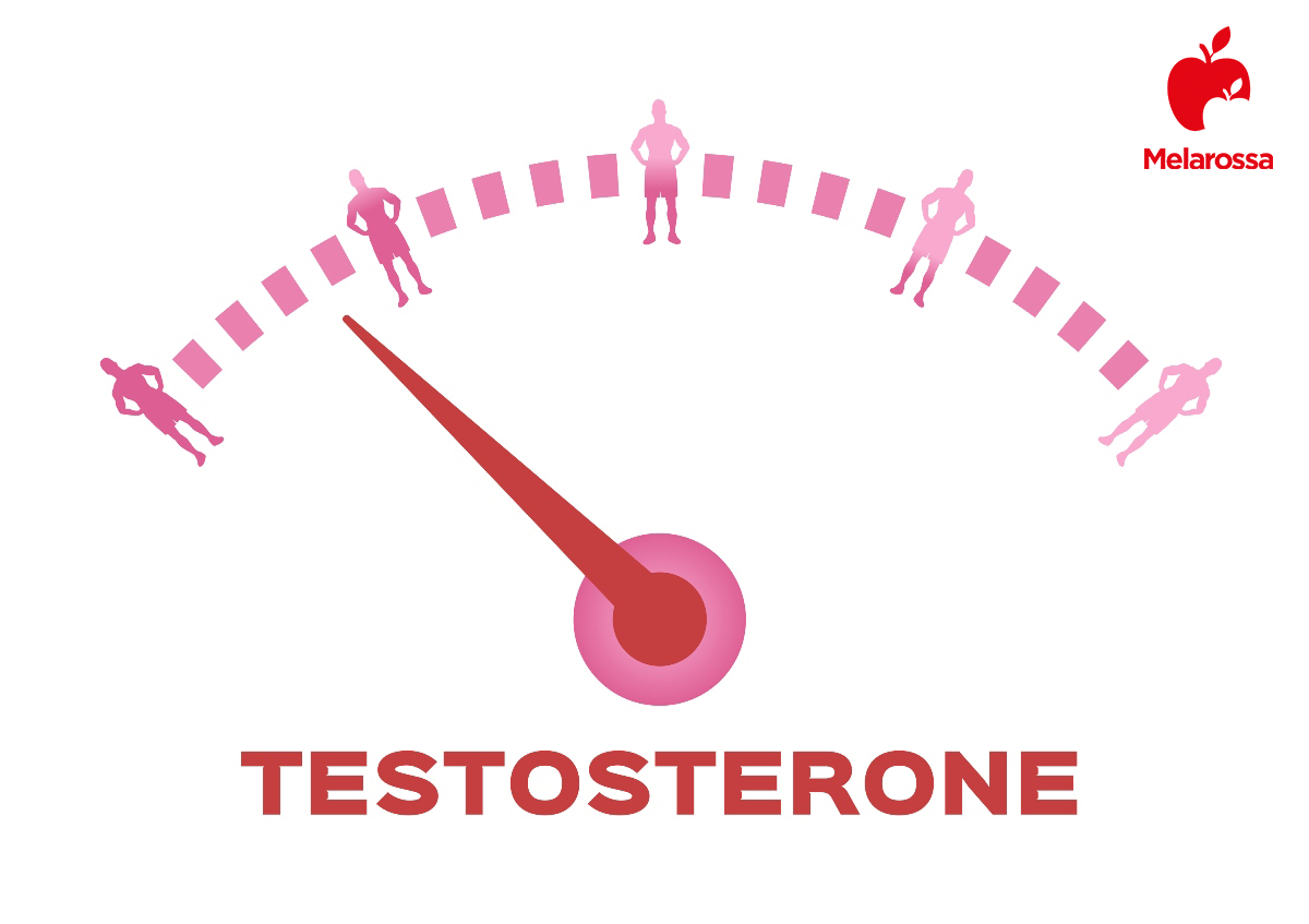 testosterone: cos'è e a cosa serve 