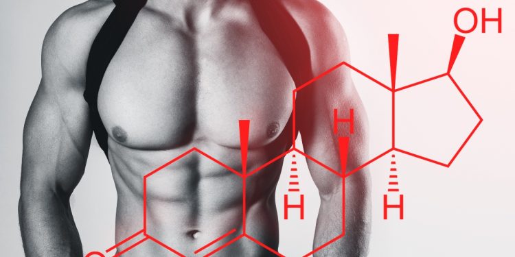 Testosterone: cos'è, ruolo, valori normali, alti e bassi, quando assumere integratori