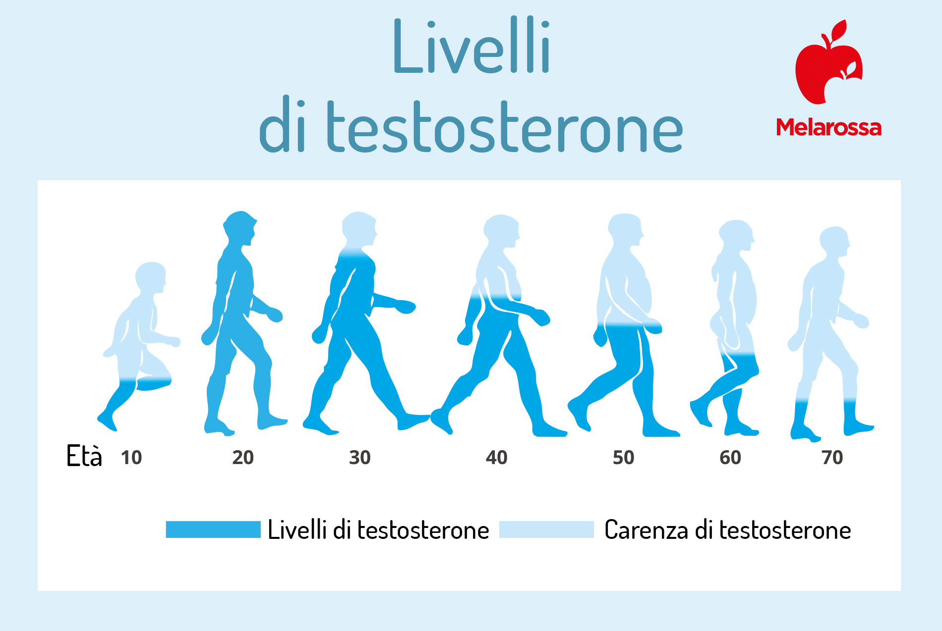 livelli di testosterone nella vita 