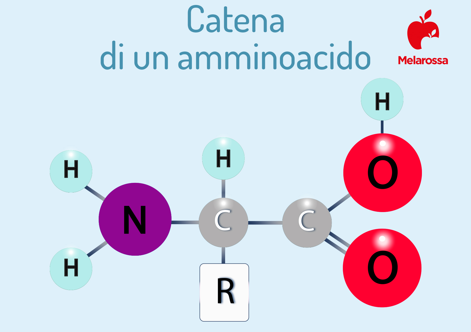 catena aminoacidi