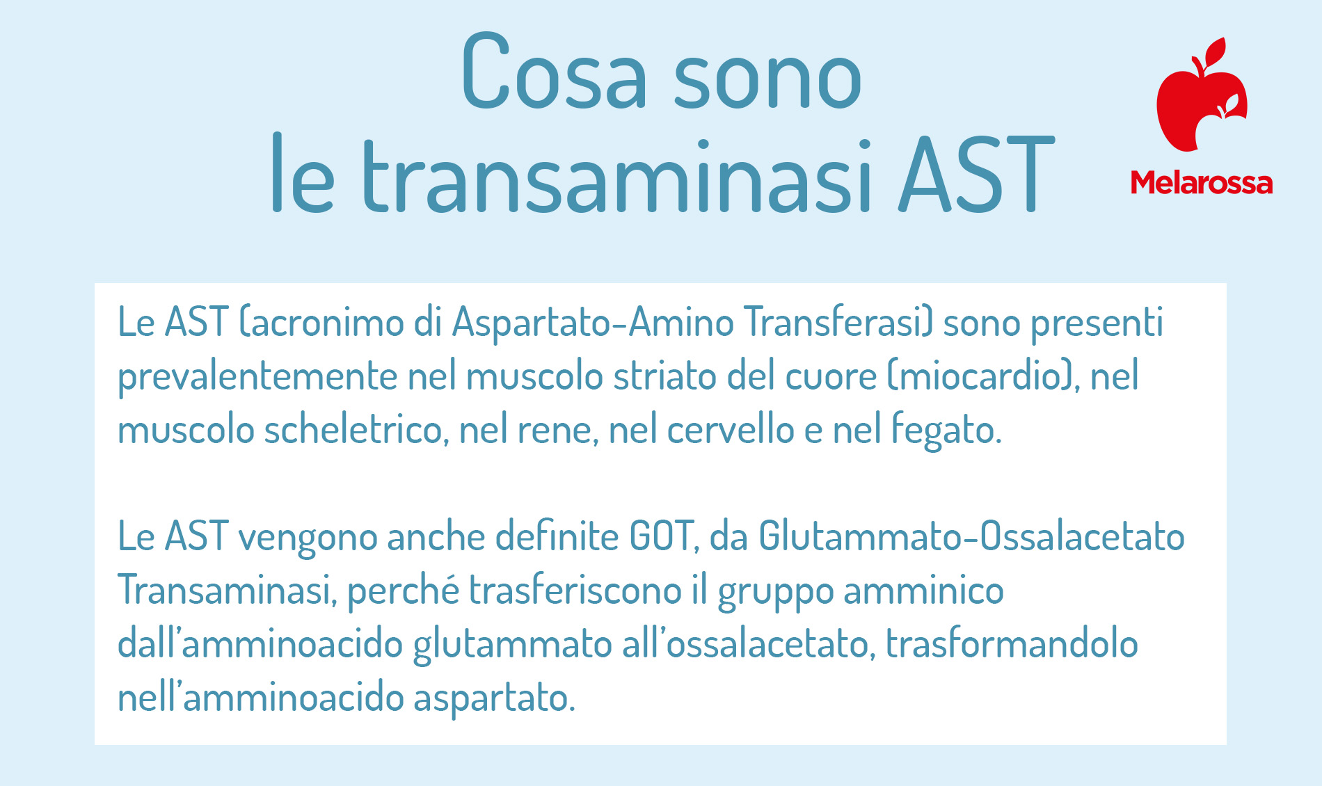 Transaminasi AST: cosa sono