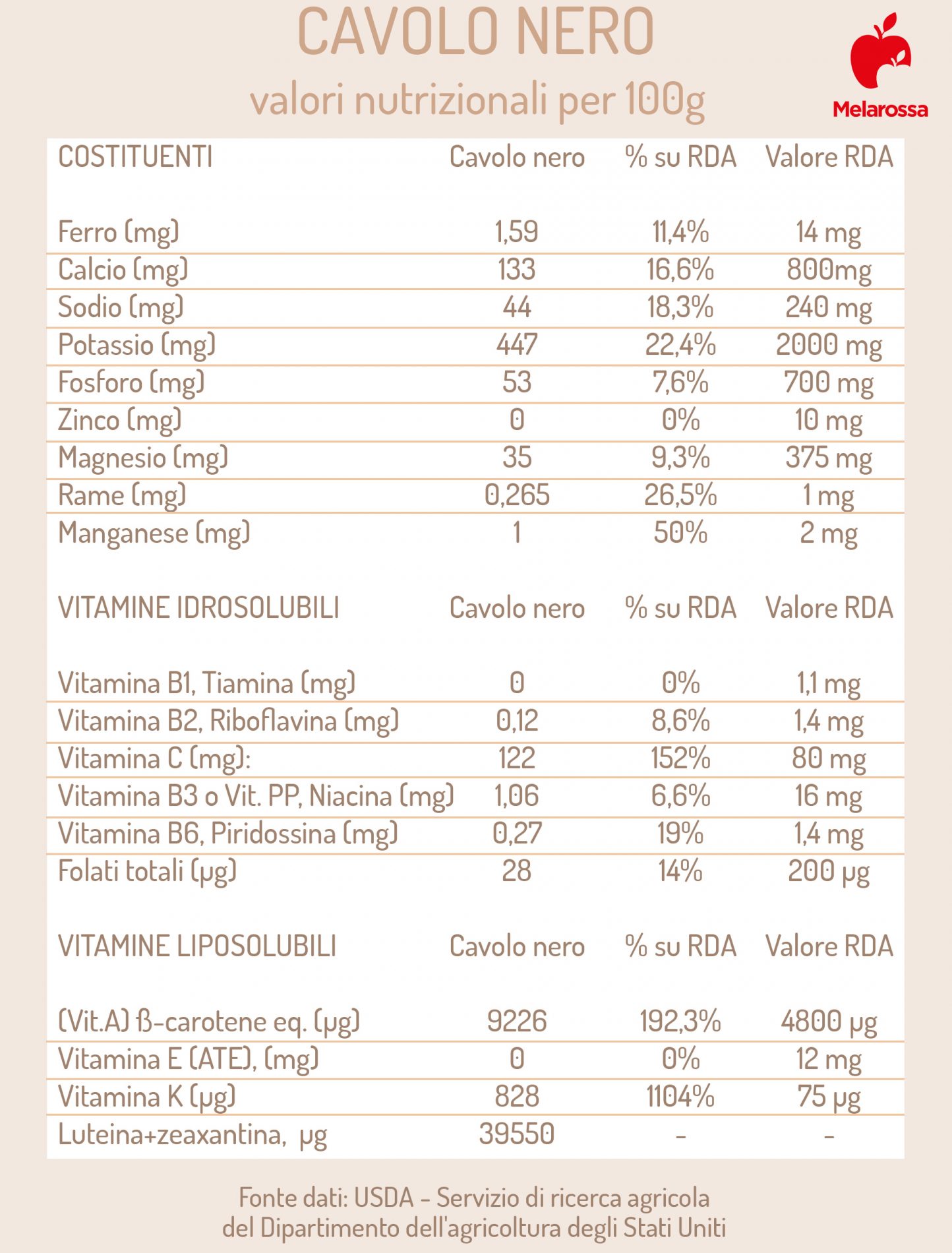 cavolo nero: valori nutrizionali
