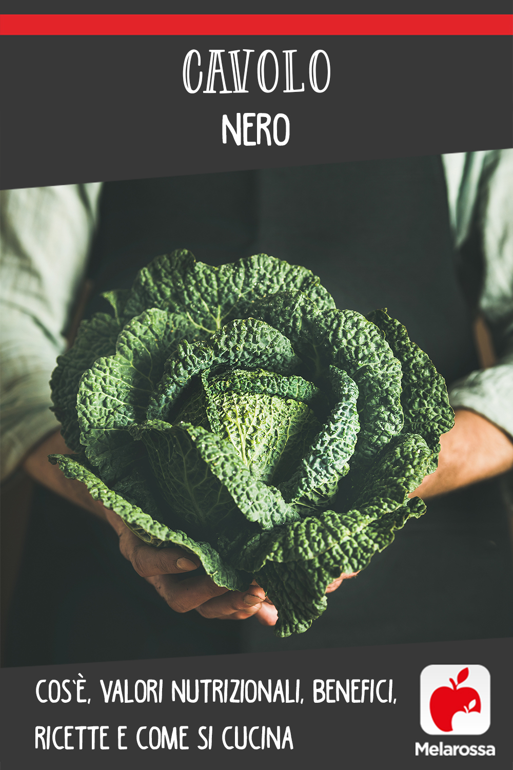 cavolo nero: cos'è, benefici e le migliori ricette