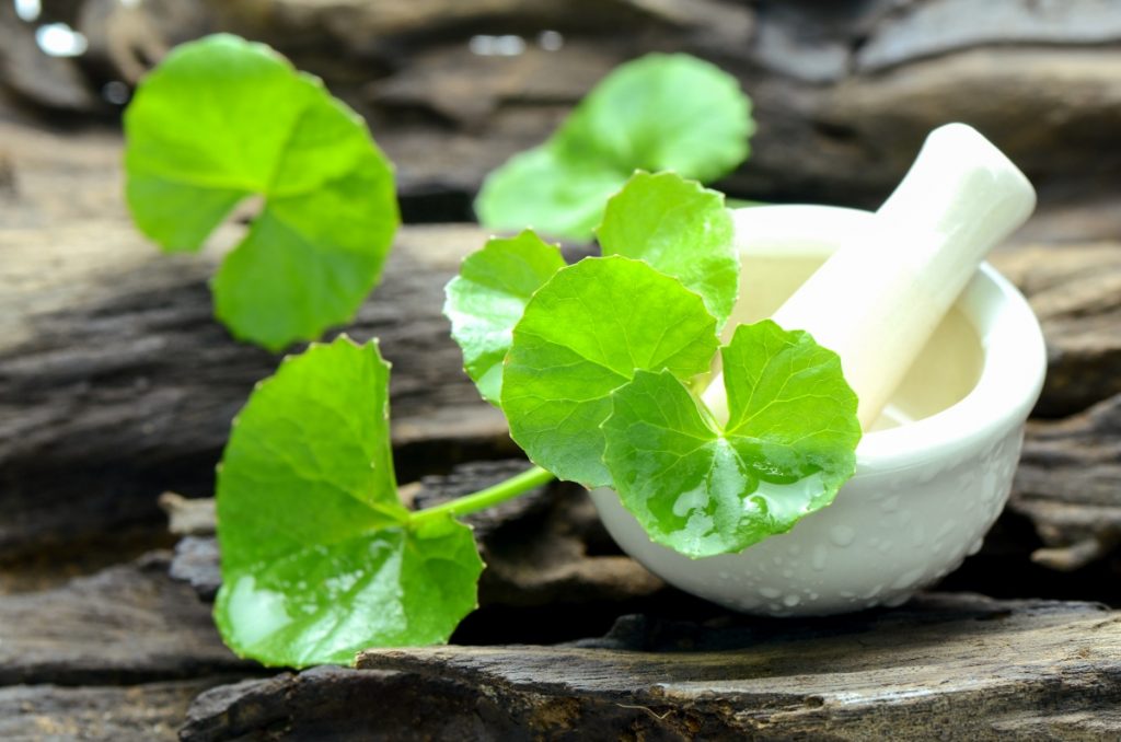 centella asiatica: benefici per la pelle