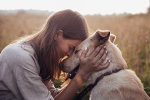 Giornata mondiale del cane: 10 idee utili e creative per celebrare il tuo amico a quatto zampe