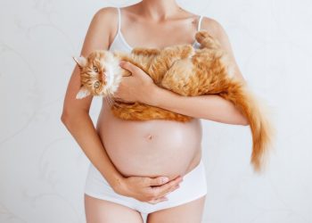 Un donna in gravidanza che tiene in braccio un gatto, veicolo spesso di toxoplasmosi